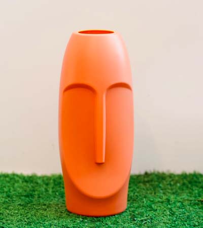 Indoor plants in Thrissur | Best indoor plants in Thrissur | Buy Indoor Plants in Thrissur