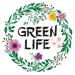 Indoor plants in Thrissur | Best indoor plants in Thrissur | Buy Indoor Plants in Thrissur